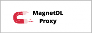 magnetdl proxy