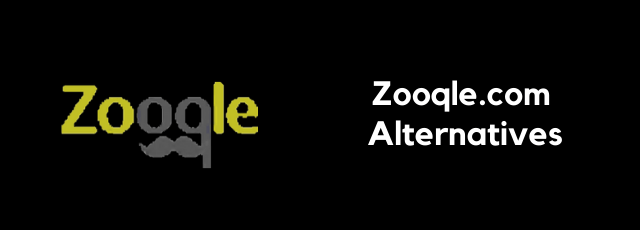 Zooqle.com Alternatives