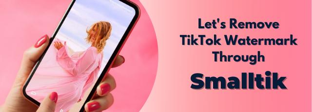 Remove TikTok Watermark Through Smalltik