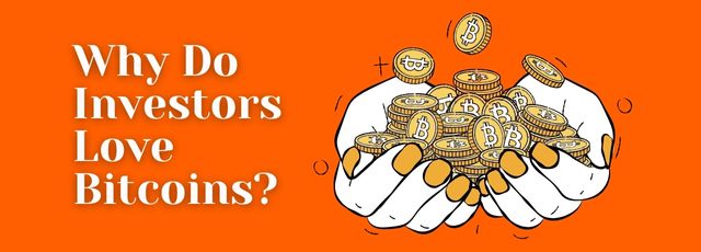 Why Do Investors Love Bitcoins