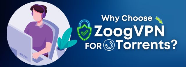 Why Choose ZoogVPN for Torrents?